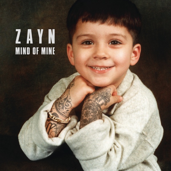 LIKE I WOULD - ZAYN