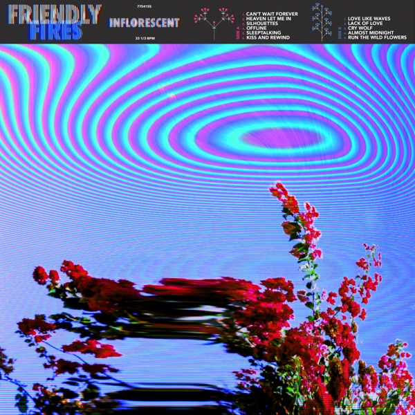 OFFLINE - FRIENDLY FIRES