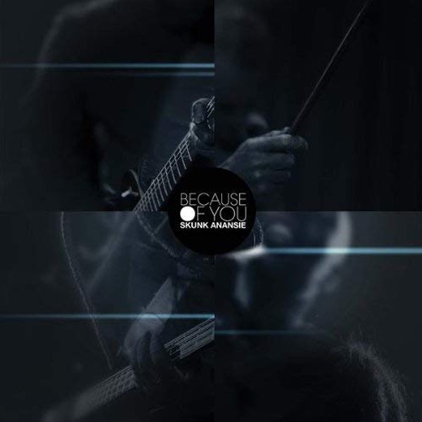 BECAUSE OF YOU - SKUNK ANANSIE