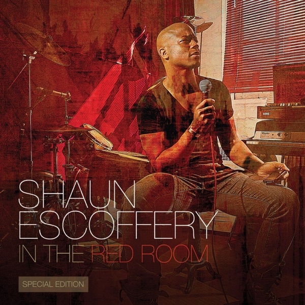 PERFECT LOVE AFFAIR - SHAUN ESCOFFERY