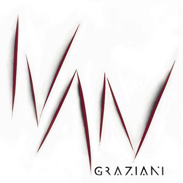 IL CHITARRISTA - IVAN GRAZIANI