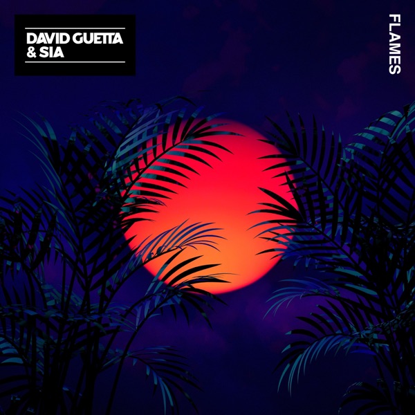 FLAMES - DAVID GUETTA FEAT. SIA