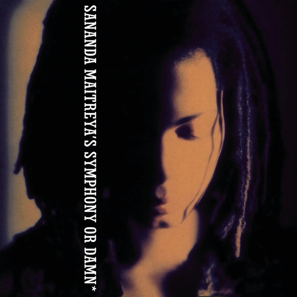 DELICATE - TERENCE TRENT D'ARBY