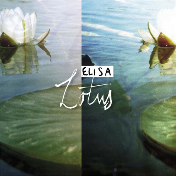 BROKEN - ELISA