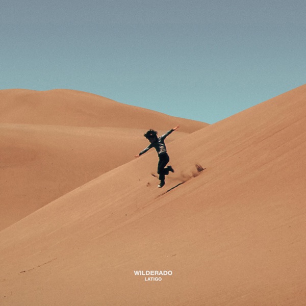 RUBBLE TO RUBBLE - WILDERADO