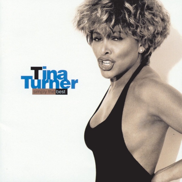 I DON'T WANNA LOSE YOU - TINA TURNER