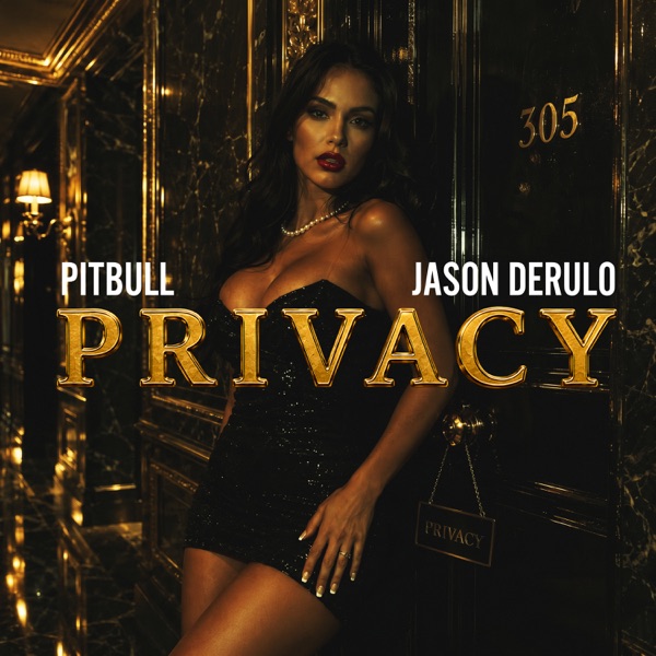 PRIVACY - PITBULL X JASON DERULO