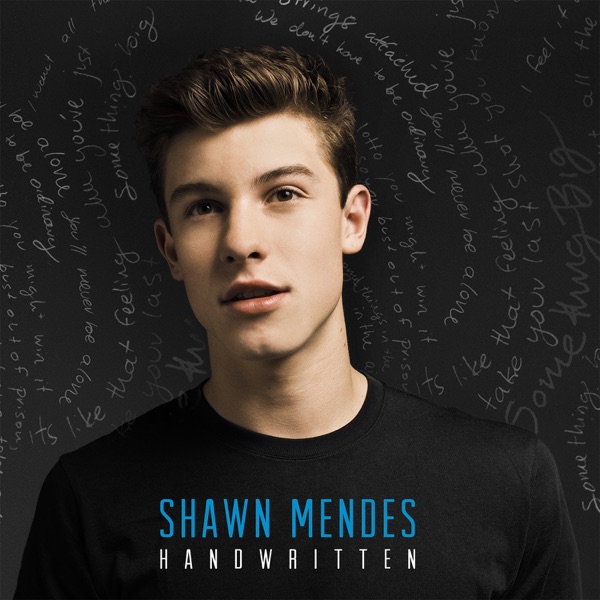 STITCHES - SHAWN MENDES