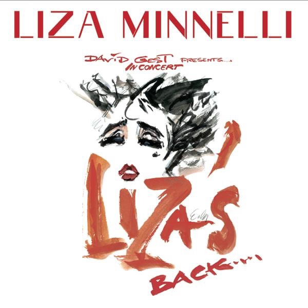 NEW YORK NEW YORK - LIZA MINNELLI