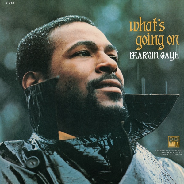 MERCY MERCY ME (THE ECOLOGY) - MARVIN GAYE