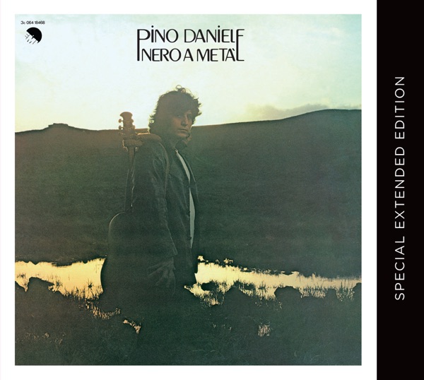A TESTA IN GIU' - PINO DANIELE
