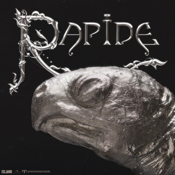 RAPIDE - MAHMOOD