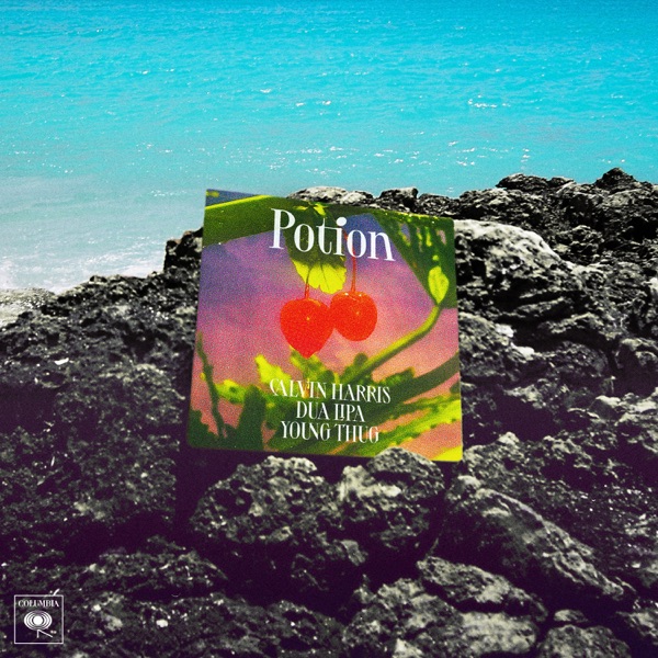 POTION - CALVIN HARRIS DUA LIPA YOUNG THUG