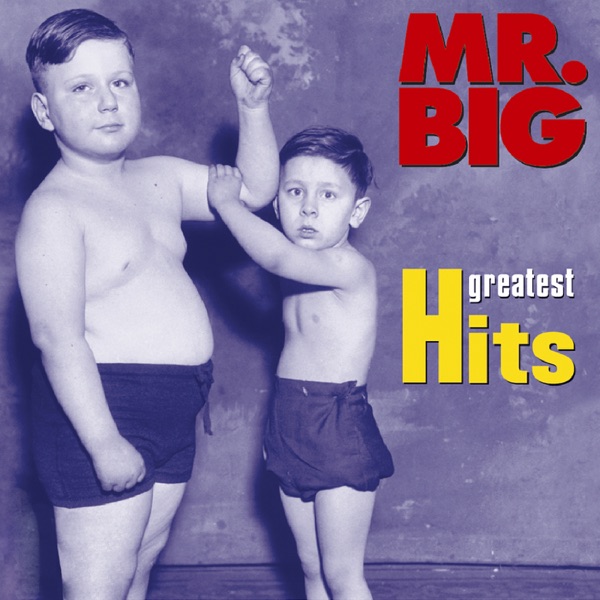 WILD WORLD - MR BIG