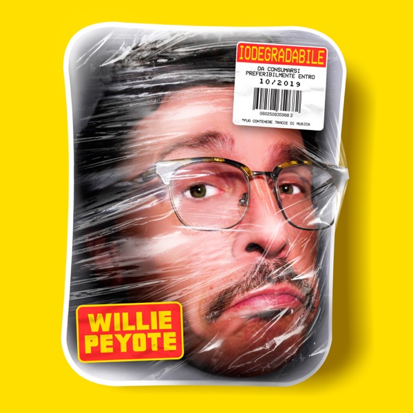 QUANDO NESSUNO TI VEDE - WILLIE PEYOTE