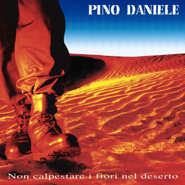 SE MI VUOI - PINO DANIELE E IRENE GRANDI