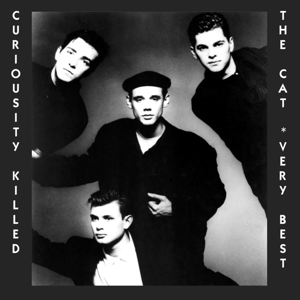 MISFIT - CURIOSITY KILLED THE CAT
