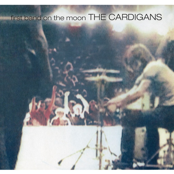 LOVEFOOL - CARDIGANS
