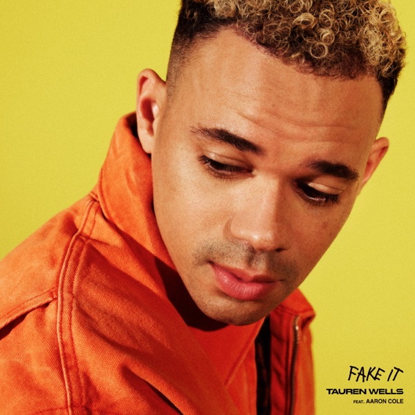 FAKE IT - TAUREN WELLS FEAT. AARON COLE