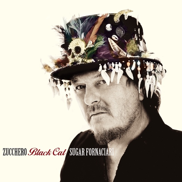 13 BUONE RAGIONI - ZUCCHERO