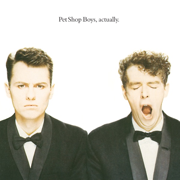 WHAT HAVE I DONE TO DESERVE - PET SHOP BOYS