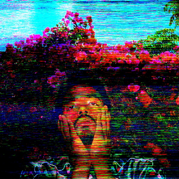 A O K - TAI VERDES