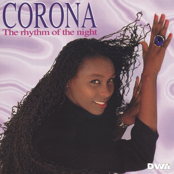 THE RHYTHM OF THE NIGHT