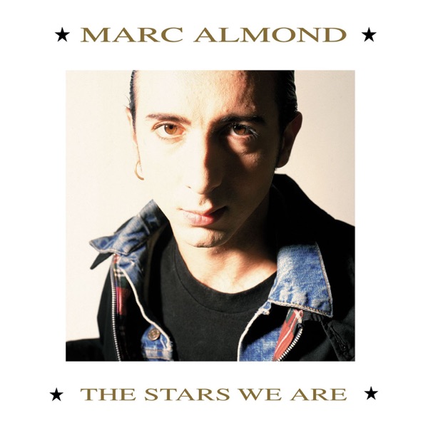 TEARS RUN RINGS - MARC ALMOND