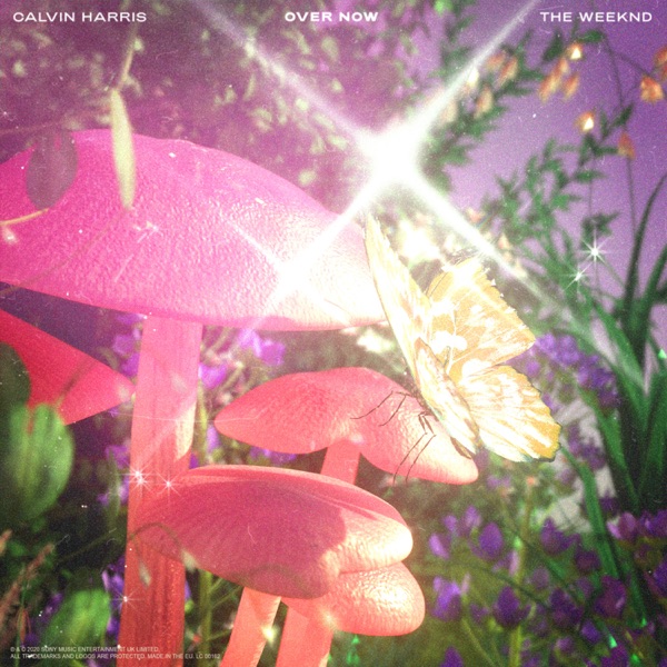 OVER NOW - CALVIN HARRIS & THE WEEKND