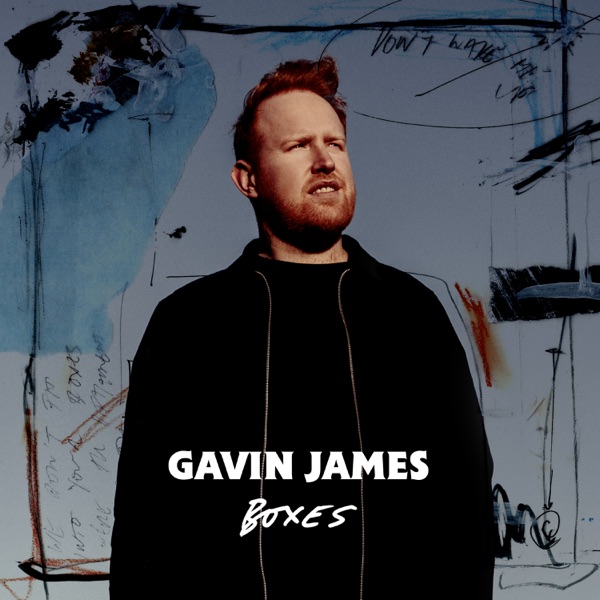 BOXES - GAVIN JAMES