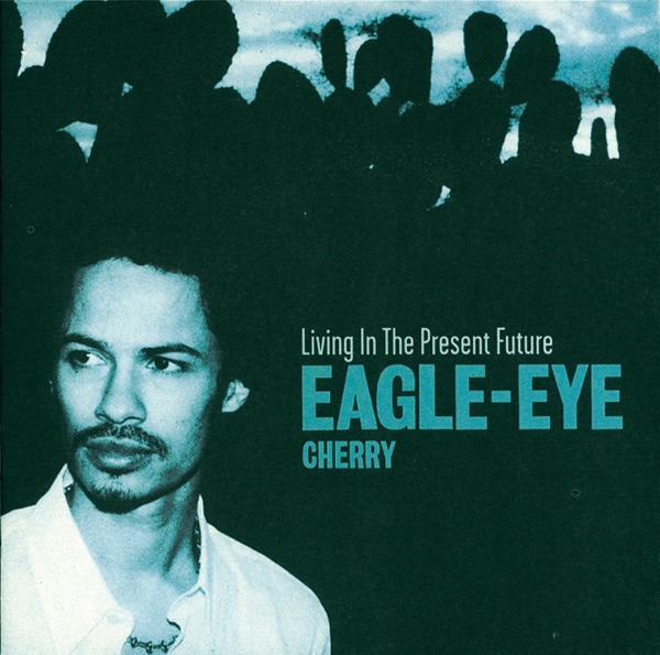 ARE YOU STILL HAVING FUN? - EAGLE EYE CHERRY