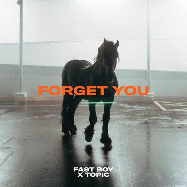 FORGET YOU - FAST BOY  TOPIC