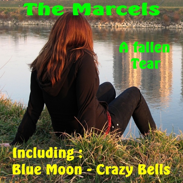 BLUE MOON - MARCELS