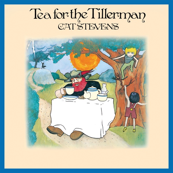 WILD WORLD - CAT STEVENS
