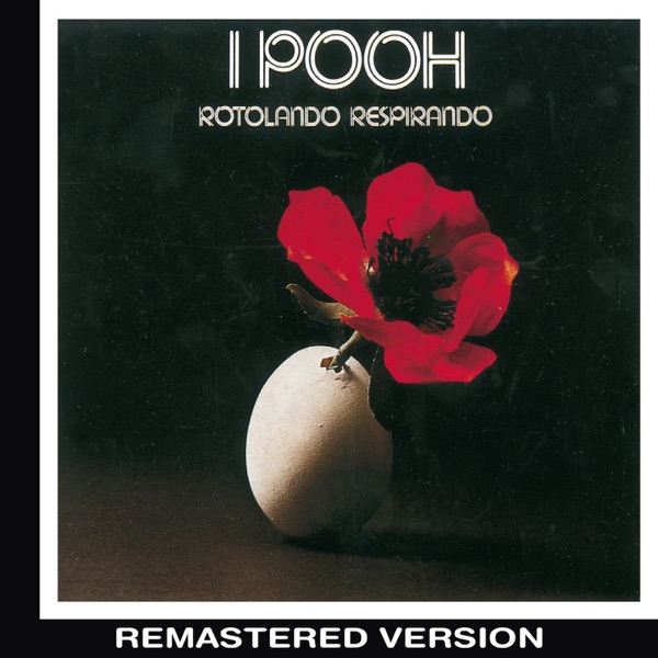 IN DIRETTA NEL VENTO - POOH