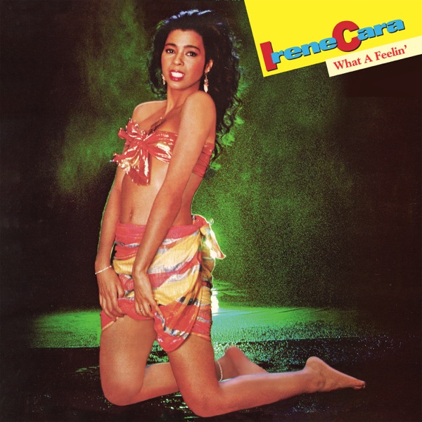 FLASHDANCE... WHAT A FEELING - IRENE CARA