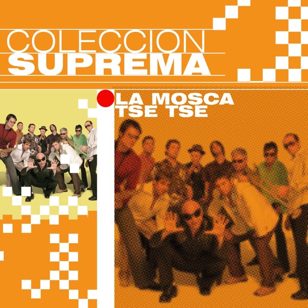 PARA NO VERTE MAS - LA MOSCA TZE TZE