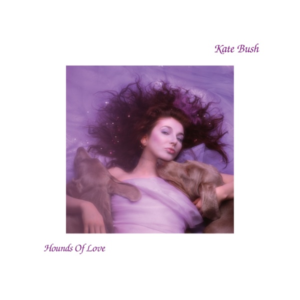 RUNNING UP THAT HILL - KATE BUSH