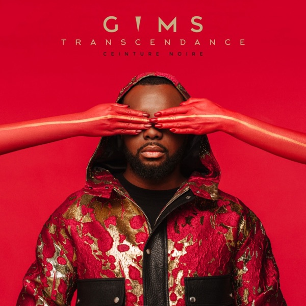 HOLA SENORITA - MAITRE GIMS & MALUMA