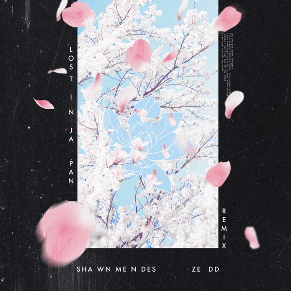 LOST IN JAPAN - SHAWN MENDES & ZEDD