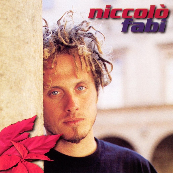 DICA - NICCOLO' FABI