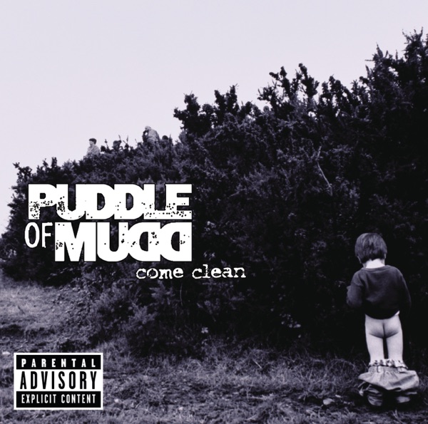 BLURRY - PUDDLE OF MUDD