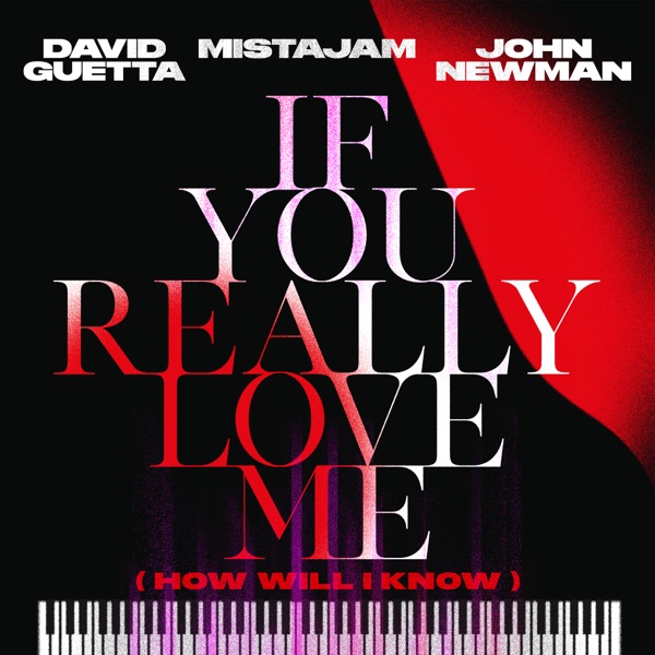 IF YOU REALLY LOVE ME (HOW WILL I KNOW) - DAVID GUETTA x MISTAJAM x JOHN NEWMAN