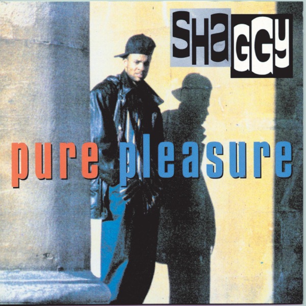 OH CAROLINA - SHAGGY