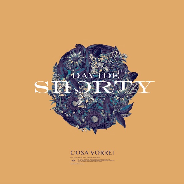 COSA VORREI - DAVIDE SHORTY